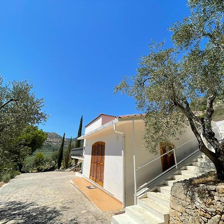 Colori Del Sud - Residence Mattinata Kültér fotó